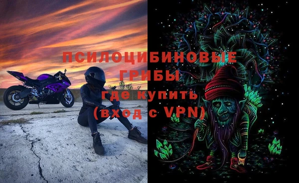 дживик Арсеньев